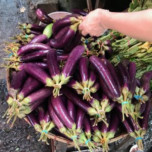 Eggplant