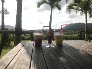 光楽園 お店裏のベンチ